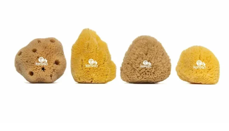 The Ocean’s Gift Amazing Facts About Sea Sponges for Bathing