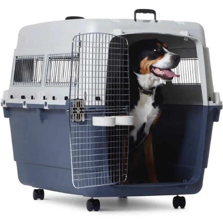 Travel-Friendly Dog Crates A Must-Have for Pet Owners on the Go