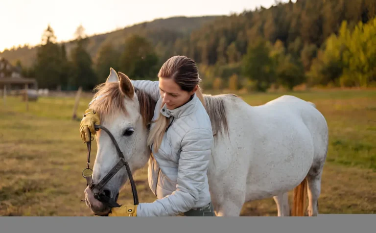 Exploring Holistic Approaches to Equine Care with These 5 Solutions
