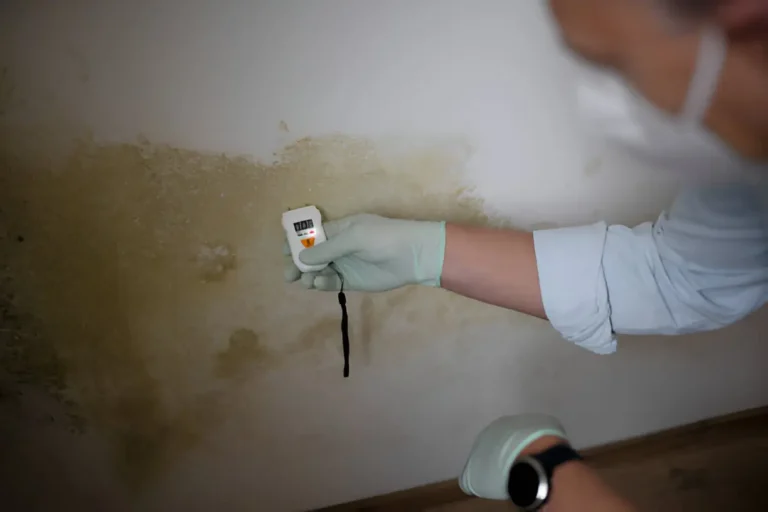 From Mold Discovery to Clean Recovery: The Ultimate Guide to Safe and Thorough Remediation