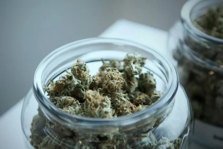 What To Look for in a Quality Weed Dispensary