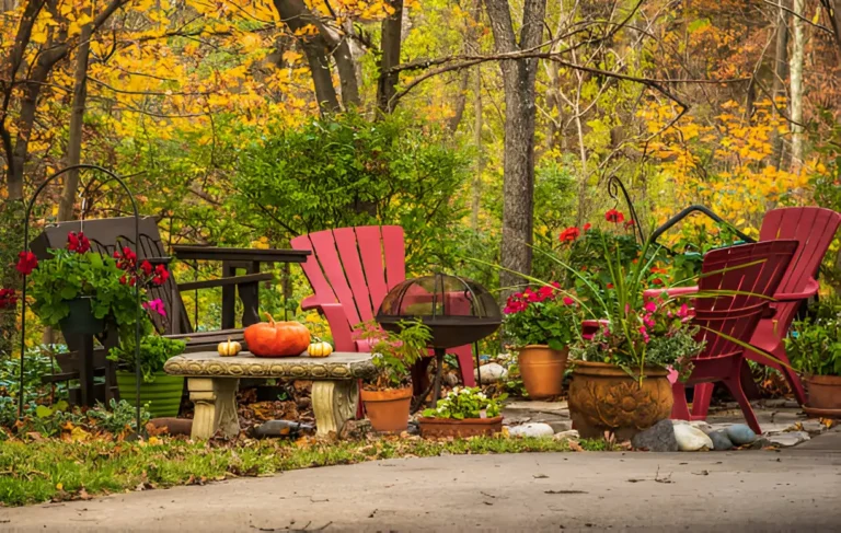 Fall Landscaping Secrets for a Healthier, More Striking Yard